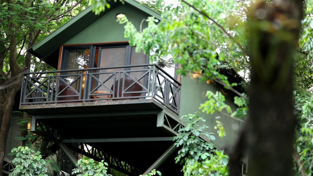 Tree house stay