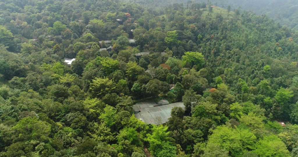 Luxury Rainforest stay in Wayanad, near Bangalore