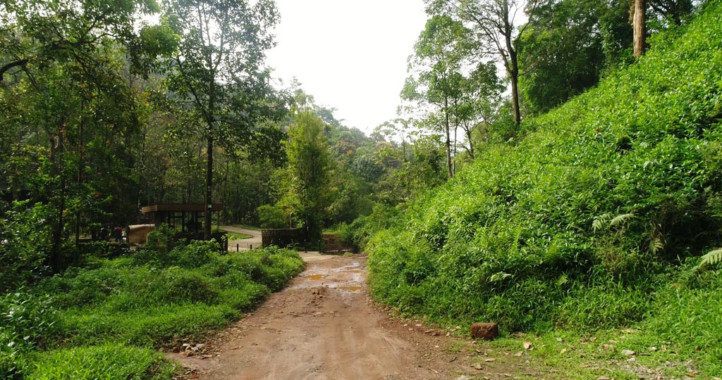 Trekking near Bangalore