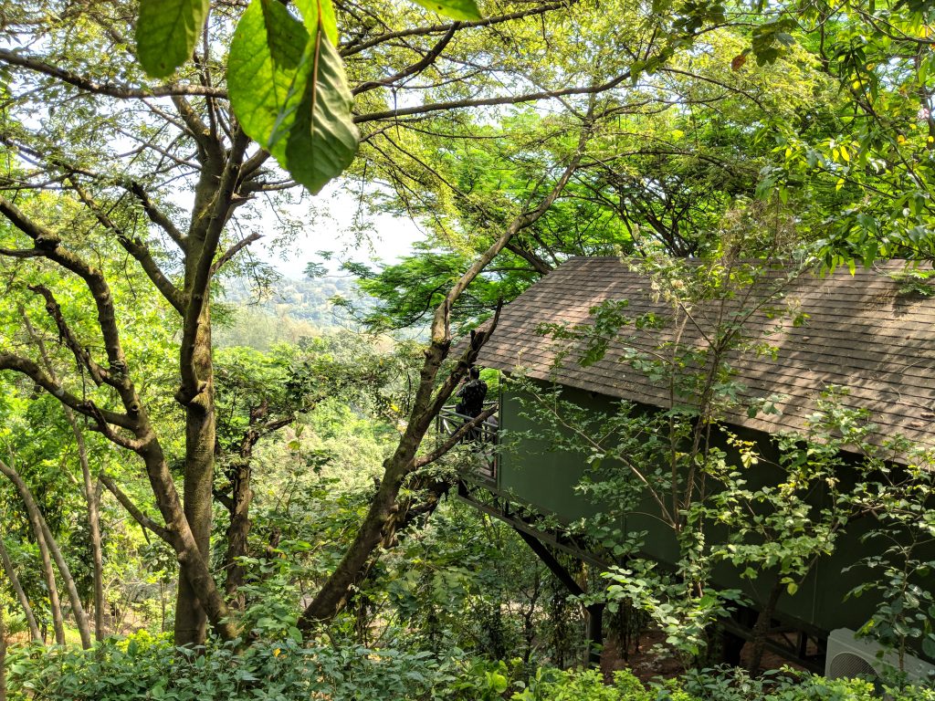 Best Pet-Friendly Resorts Near Mumbai for Weekend Getaways ...