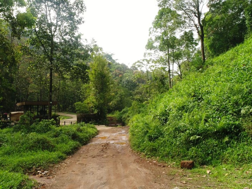 Weekend Getaways near Bangalore