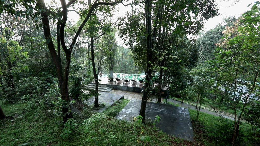 Infinity Pool in Waynad Wilderness