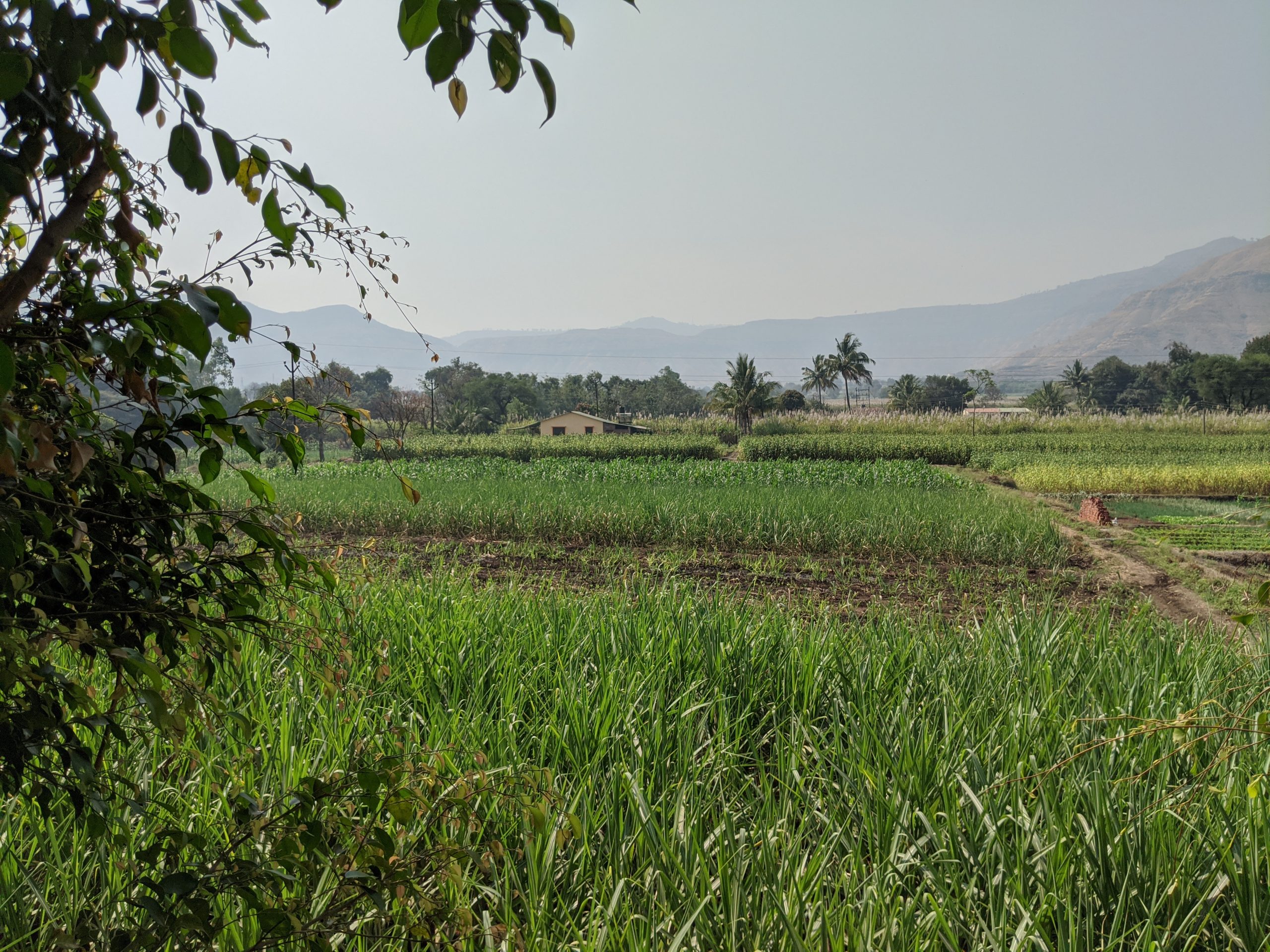 Sustainable Farm Stay near Mumbai