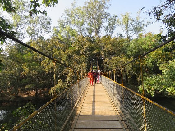 bridge walk in Nisarga Dhama when you go on a road trip from Bangalore this monsoon 2021