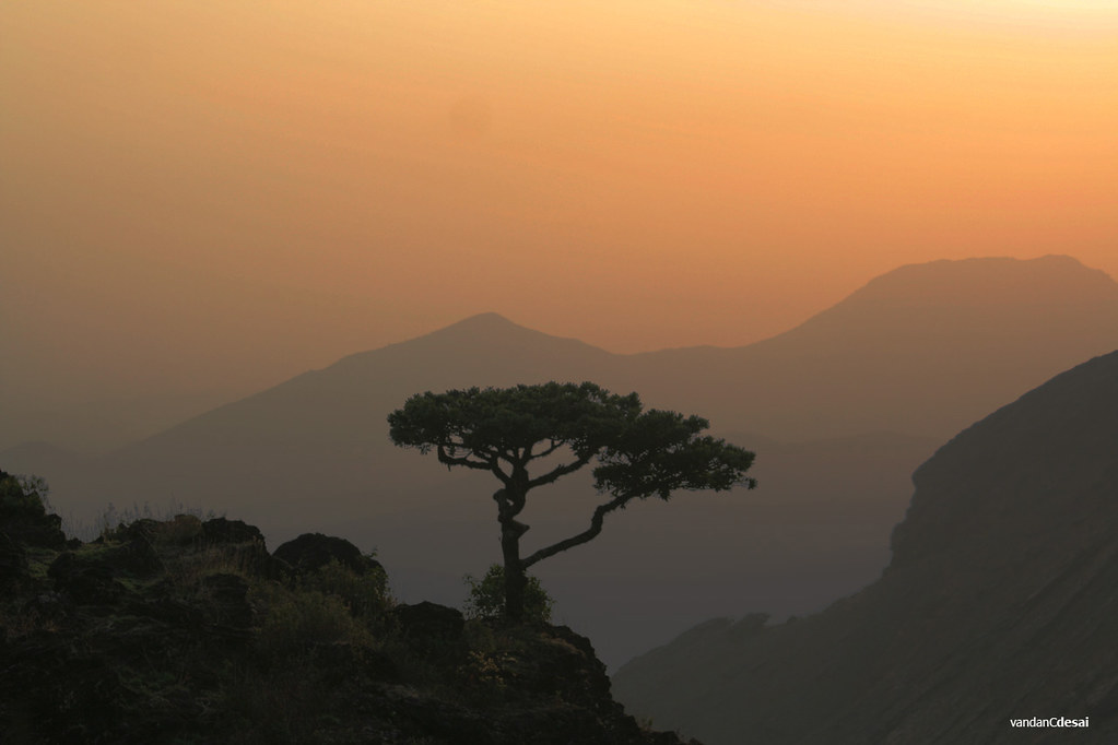 beautiful landscape of Baba Budangiri