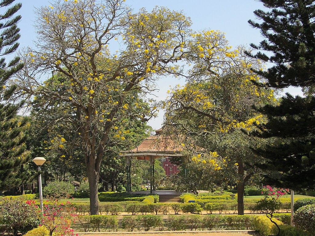 Best Things to Do in Bangalore