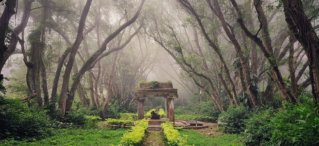 Best Things to Do in Bangalore