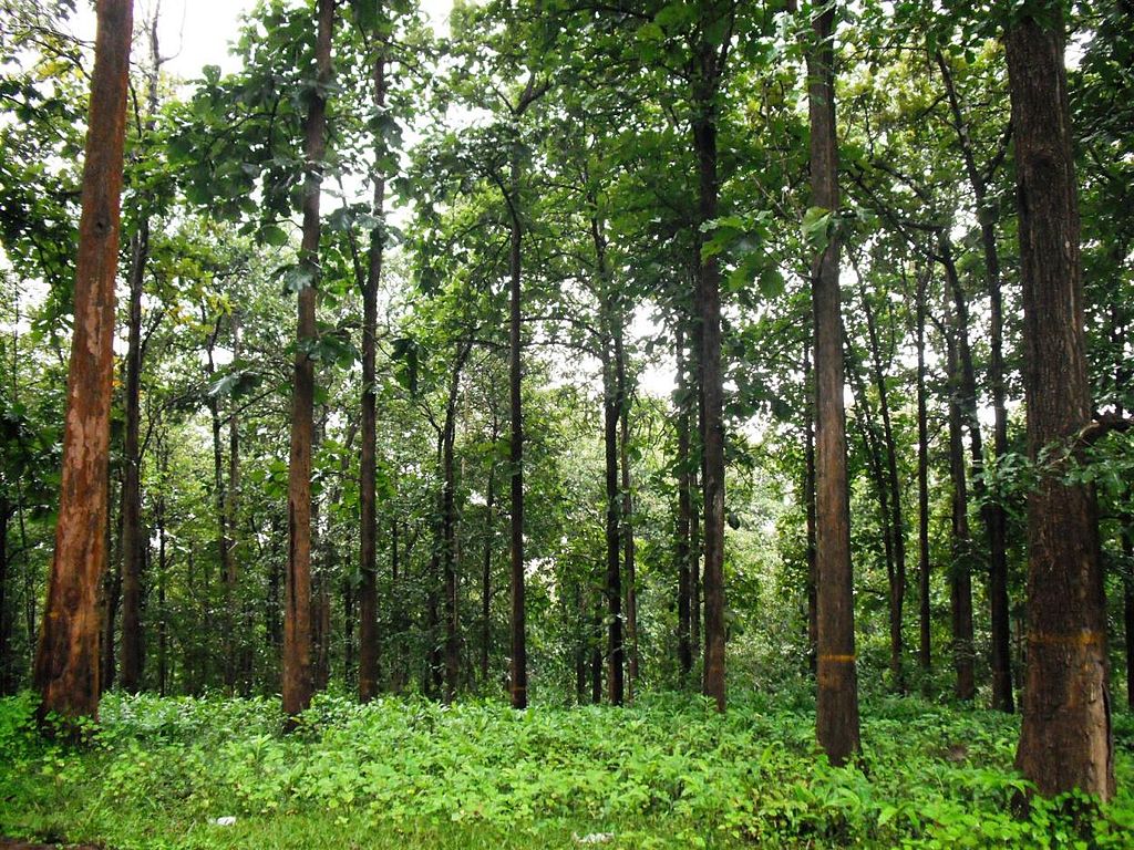 hill station near Bangalore