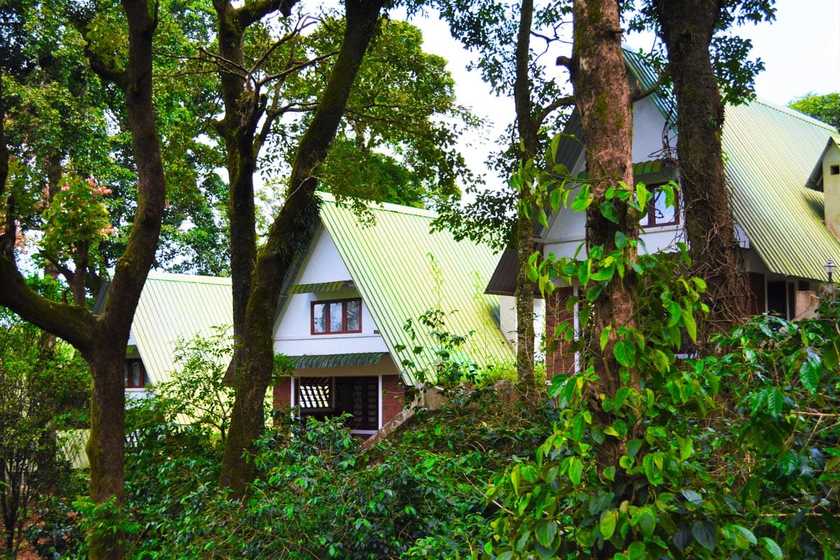 fairytale cottages at Mystic Woods Coorg Resort for honeymooners