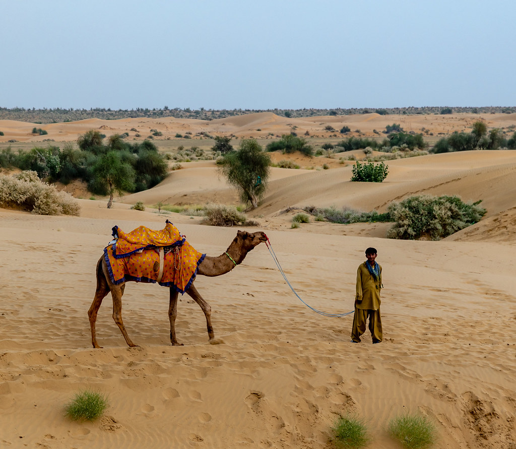 camel ride in Jaisalmer's Thar desert in India - top places to visit in India