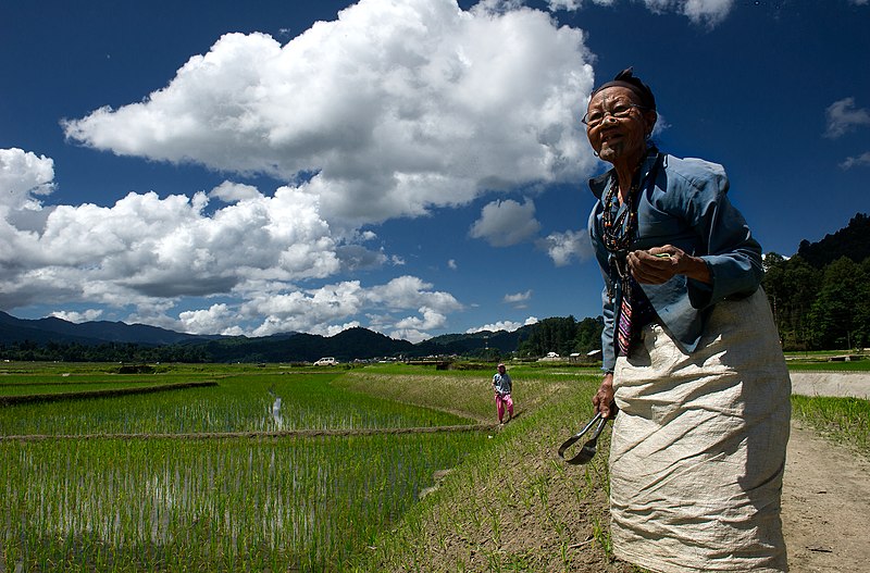 woman of the Apatani tribe in Arunachal Pradesh