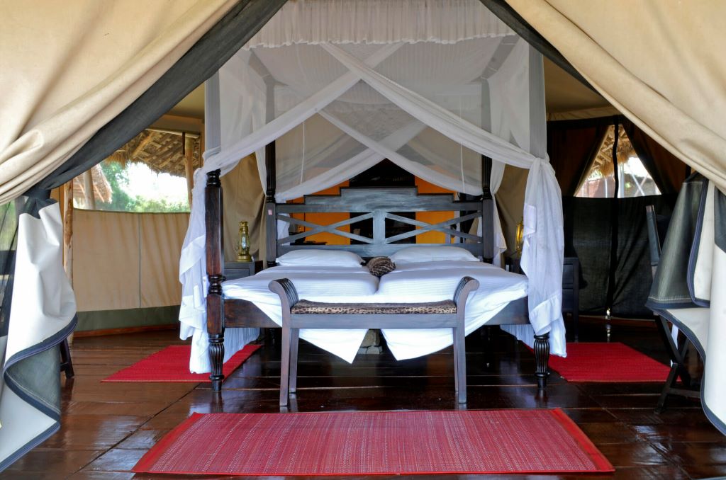 Riverside Safari Stay