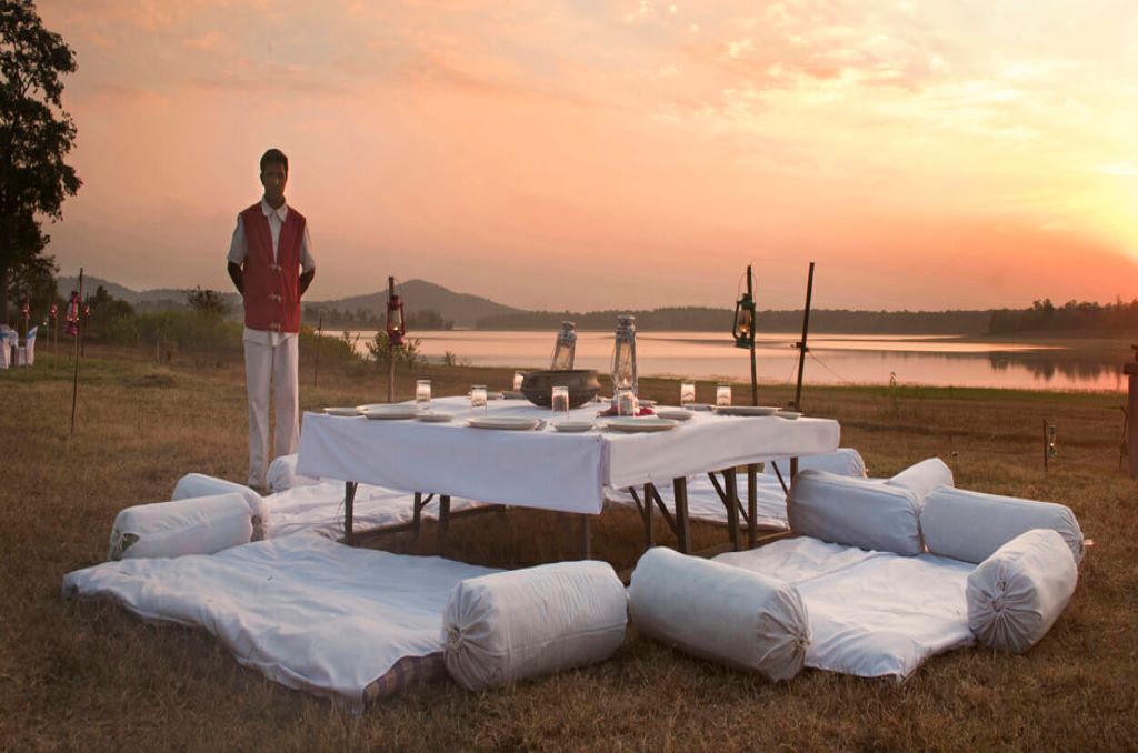 bison stay in kabini for monsoon retreat in karnataka