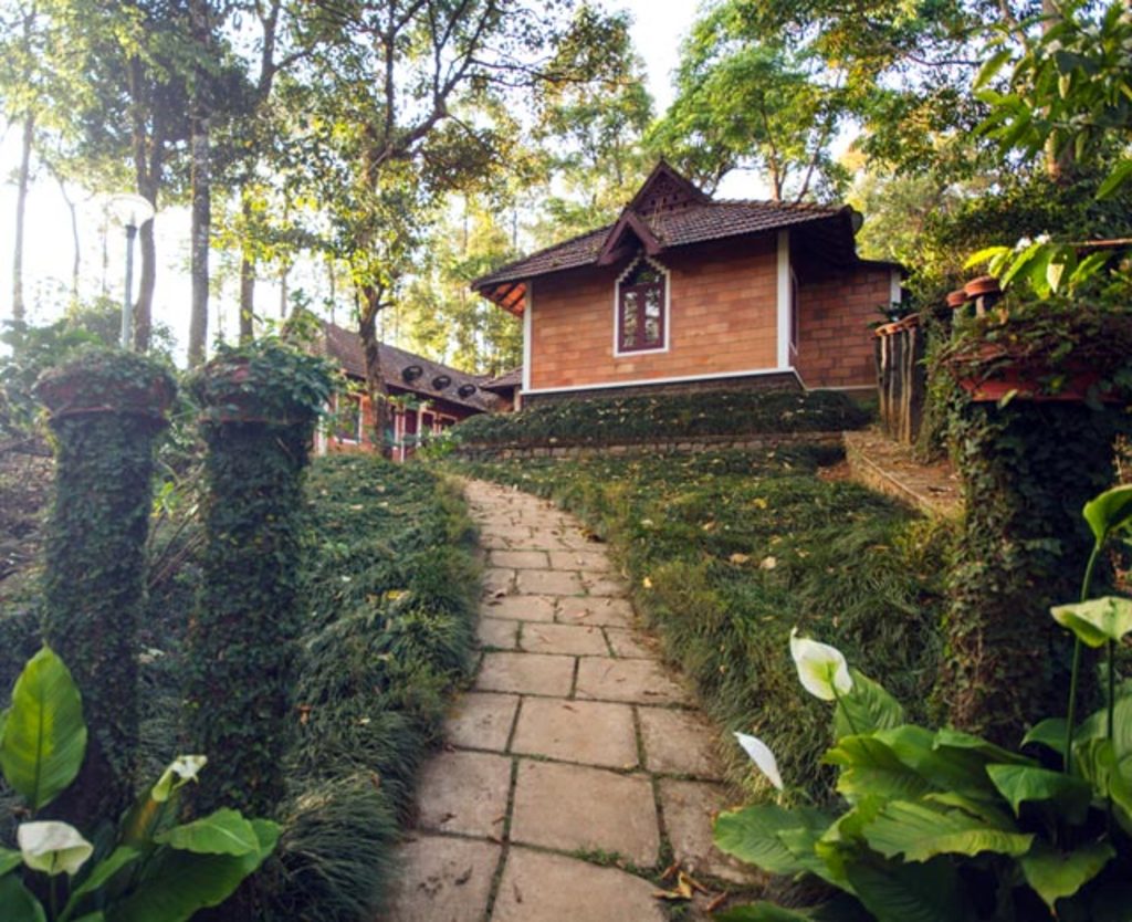 misty woods resort in coorg - offbeat resort 