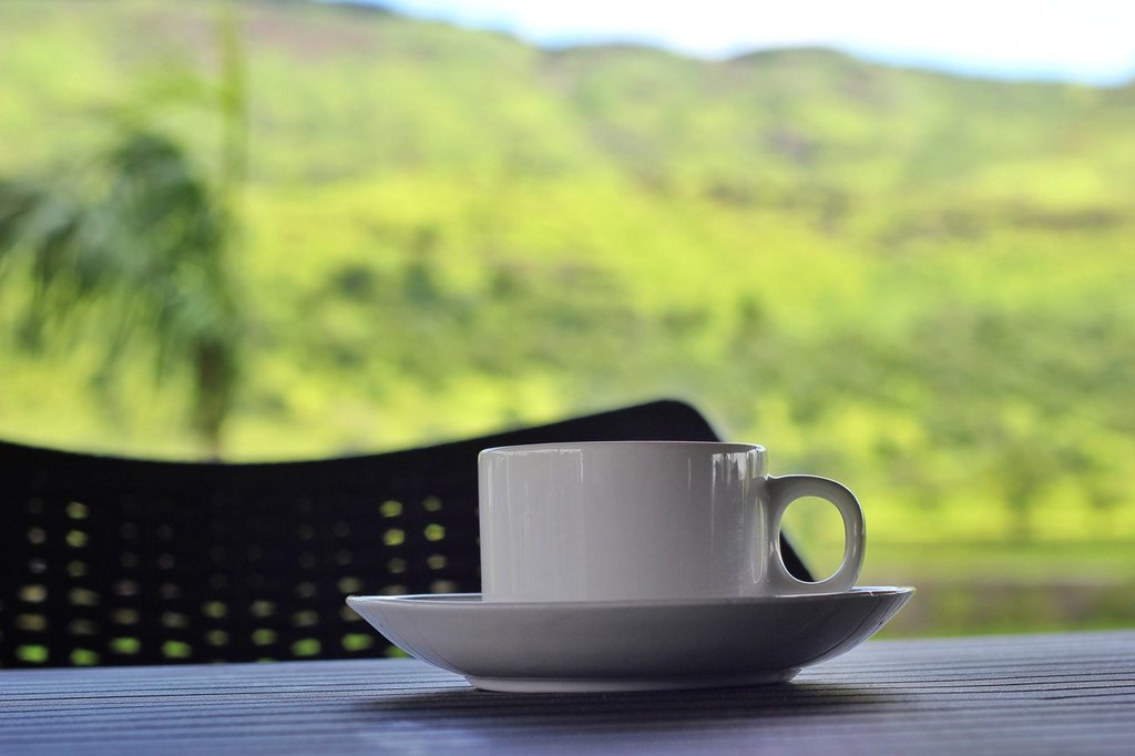 tea at resort in igatpuri