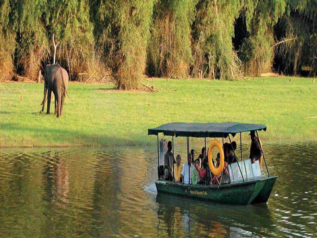 Experience exciting boat rides in the wild