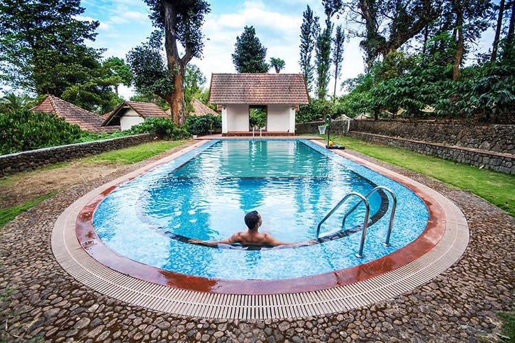 A Refreshing Dip in the Pool