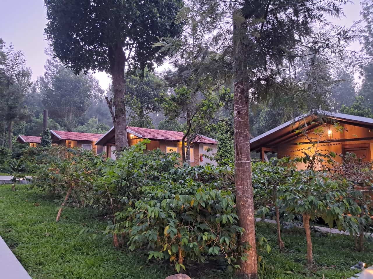 Warm, cozy cabins for the perfect stay.