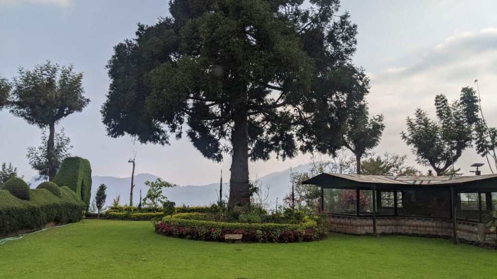 Stays in Nilgiri