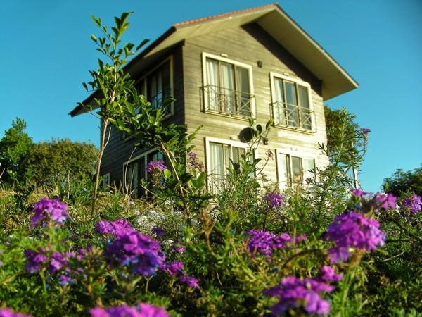 Igatpuri Resorts garden blossommumba