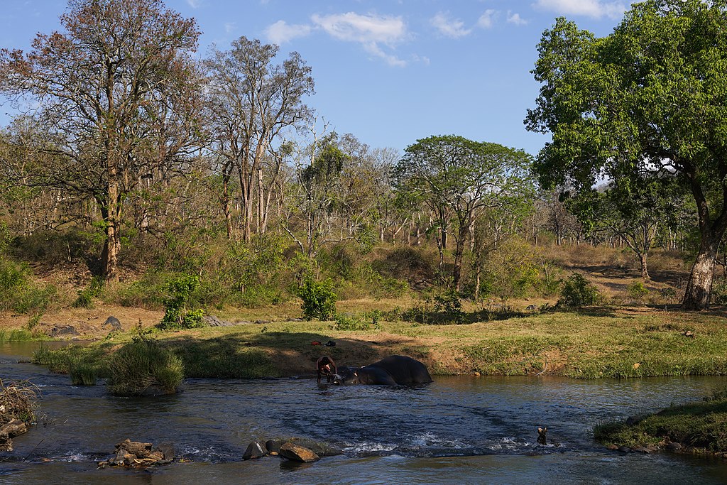 hill station near Bangalore