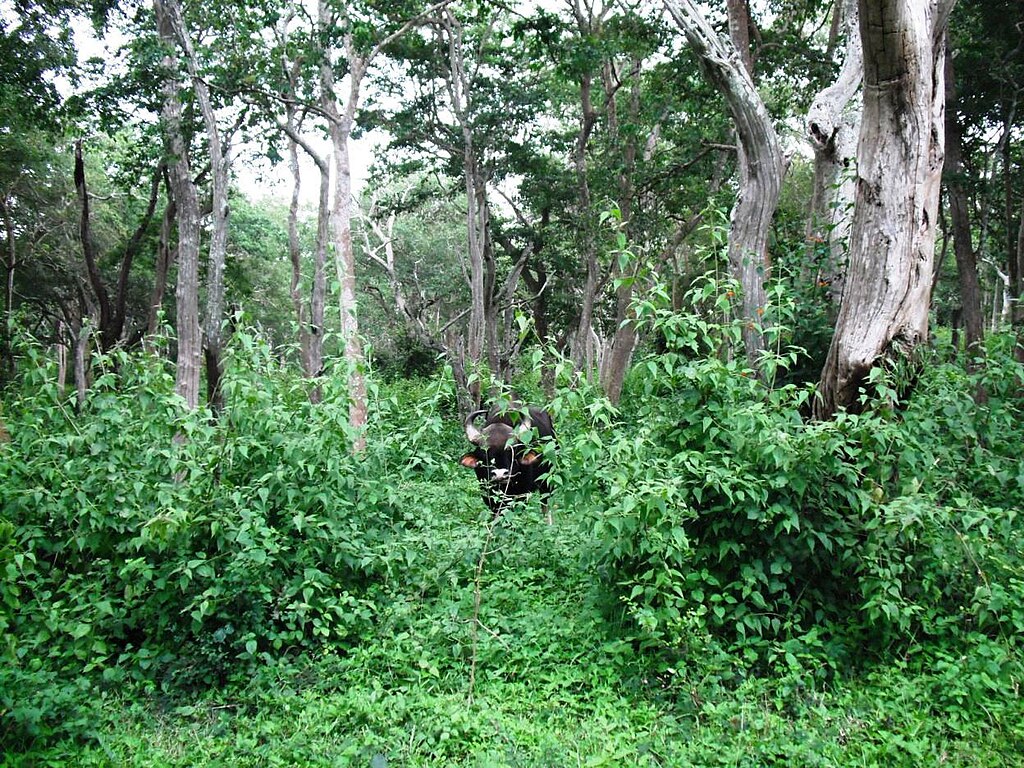 hill station near Bangalore