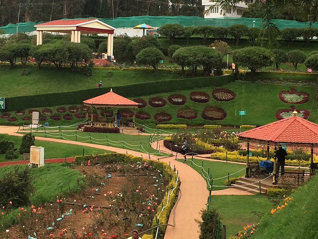 ooty homestay