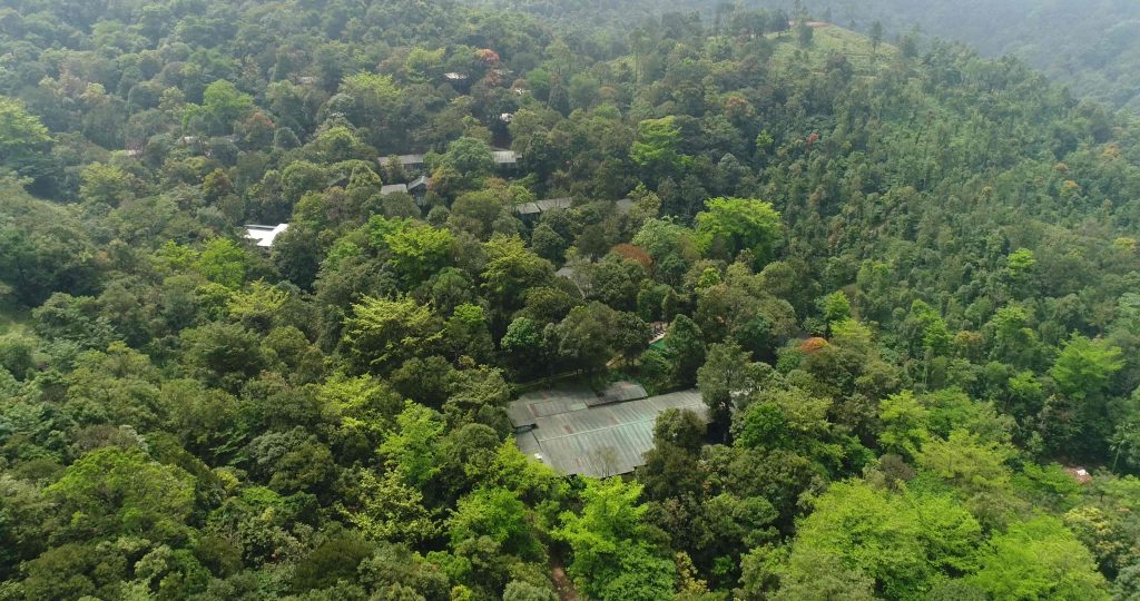 resorts near chembra peak