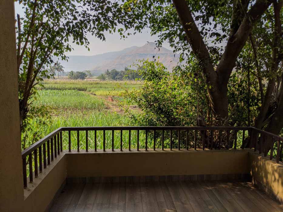 Lush Greenery_Eco Farm Stay