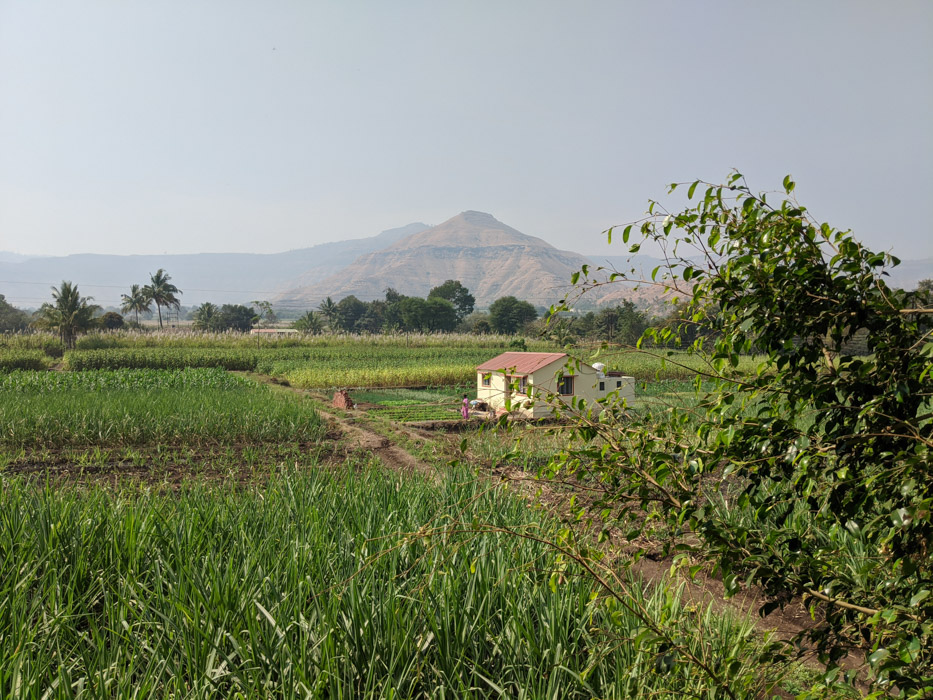 Eco Farm Stay Fields