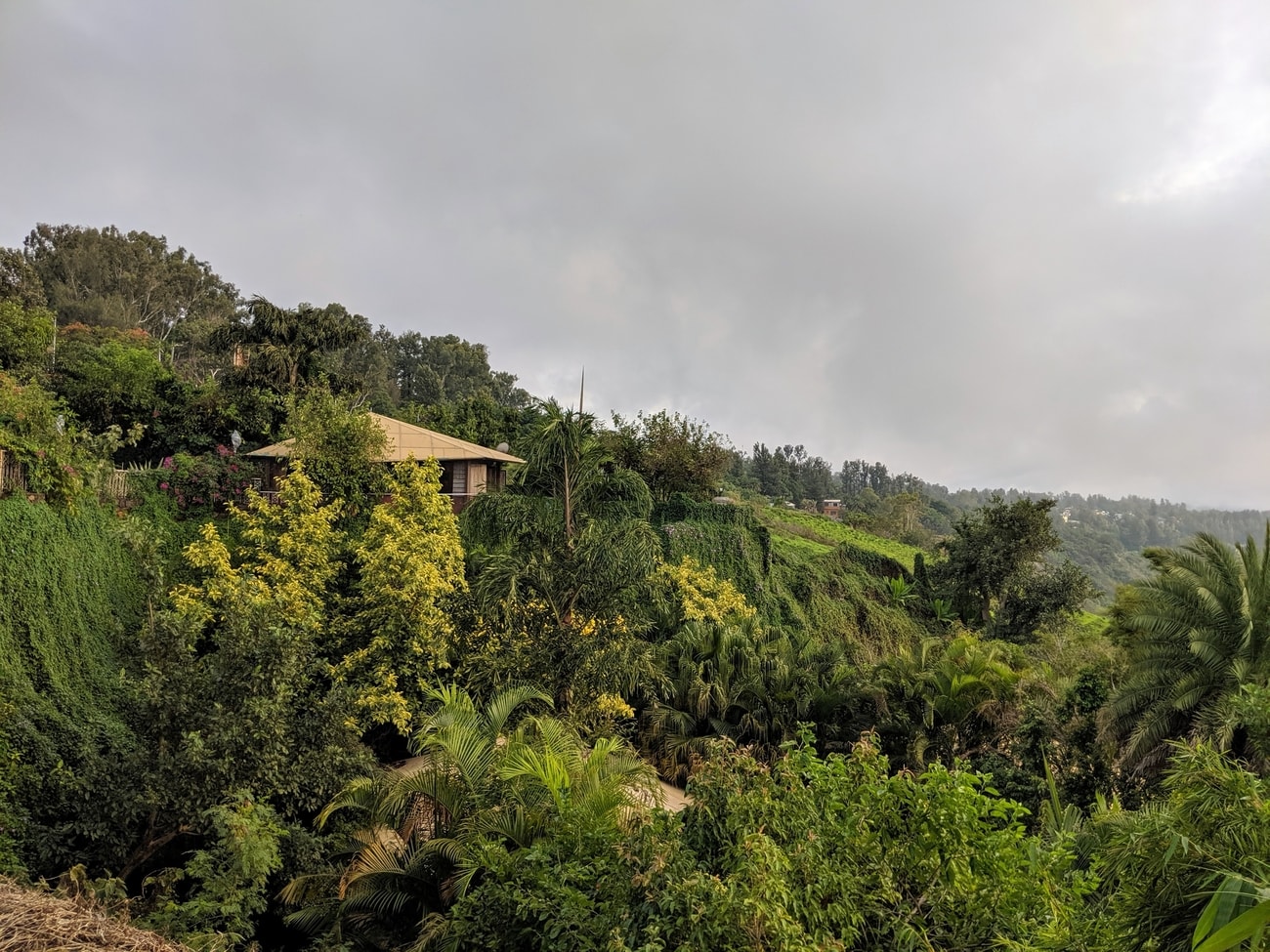 nature resorts in panchgani