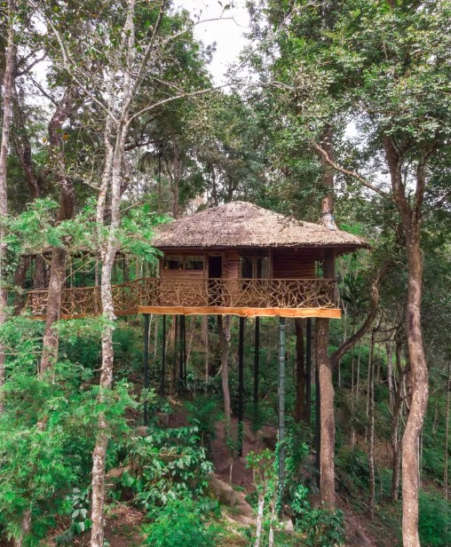 luxury resorts in wayanad