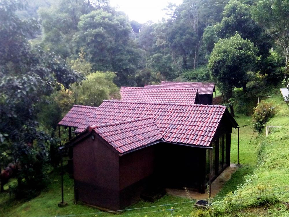 resorts in coorg for couples