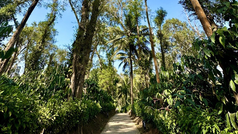 jungle resorts in nagarhole