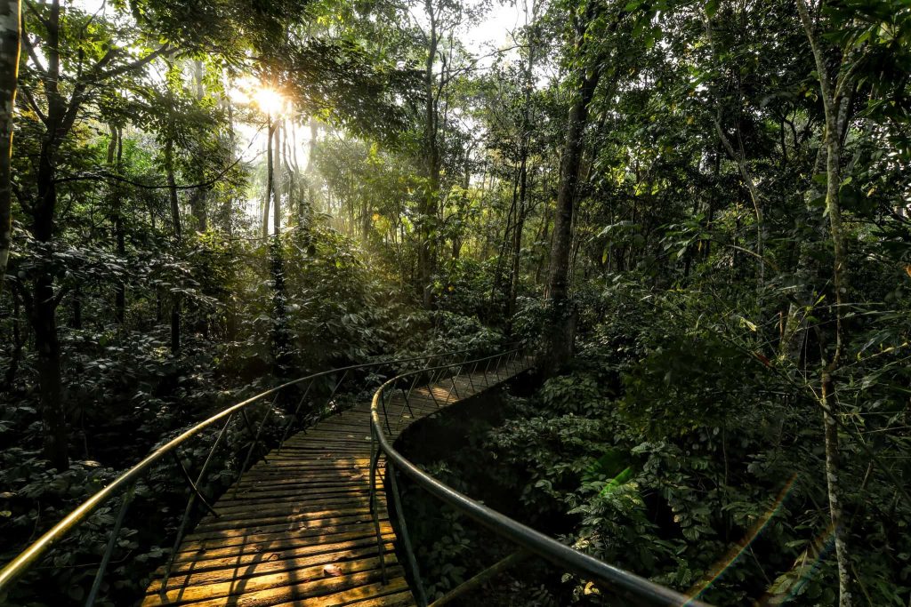 wayanad resorts with a private pool