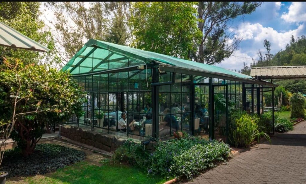 sitting-area-in-the-garden