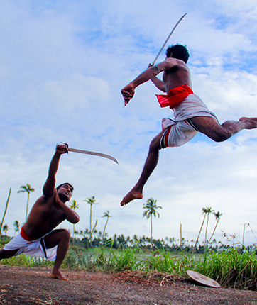 best backwater resort in alleppey