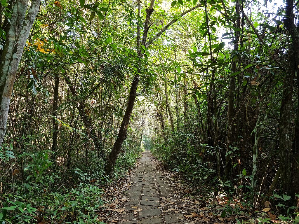 best backwater resort in alleppey