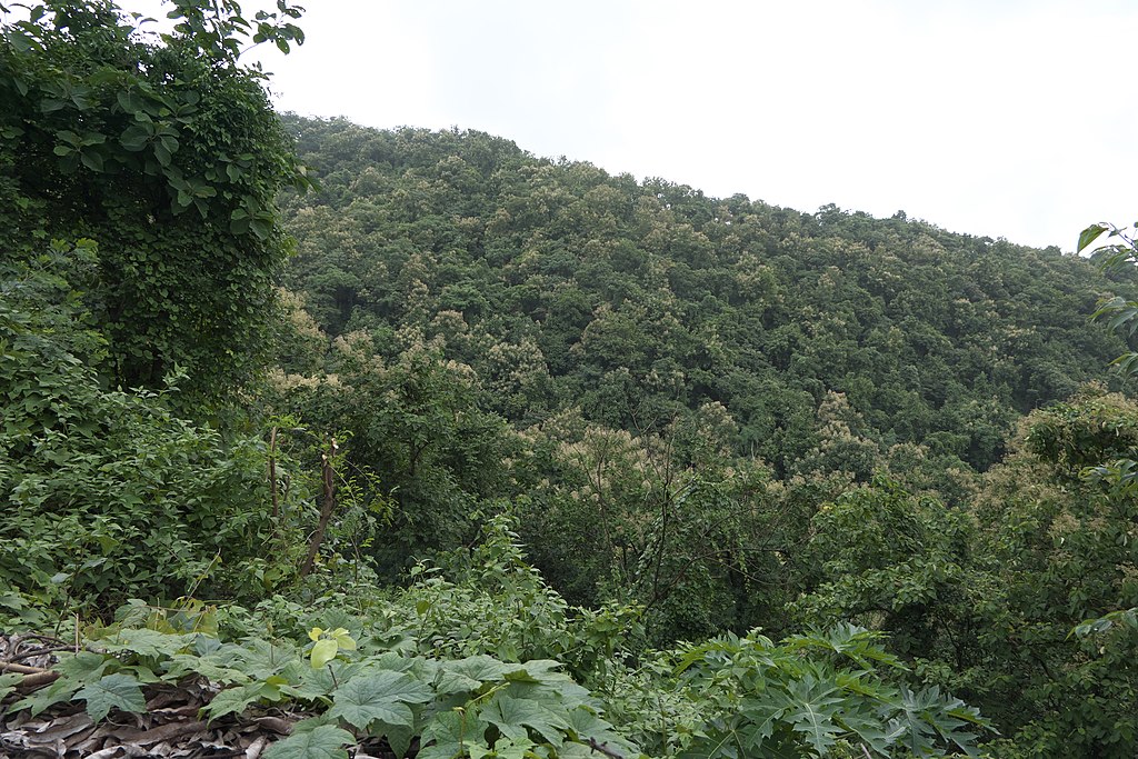 places to visit in konkan