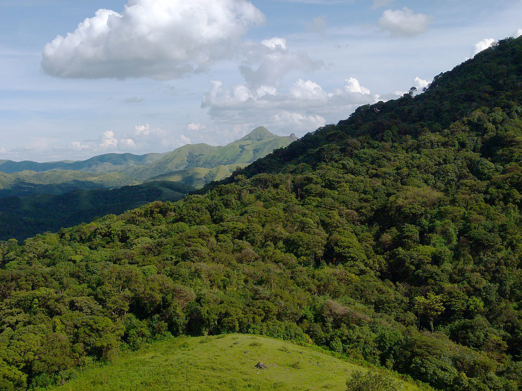 things to do in Sakleshpur