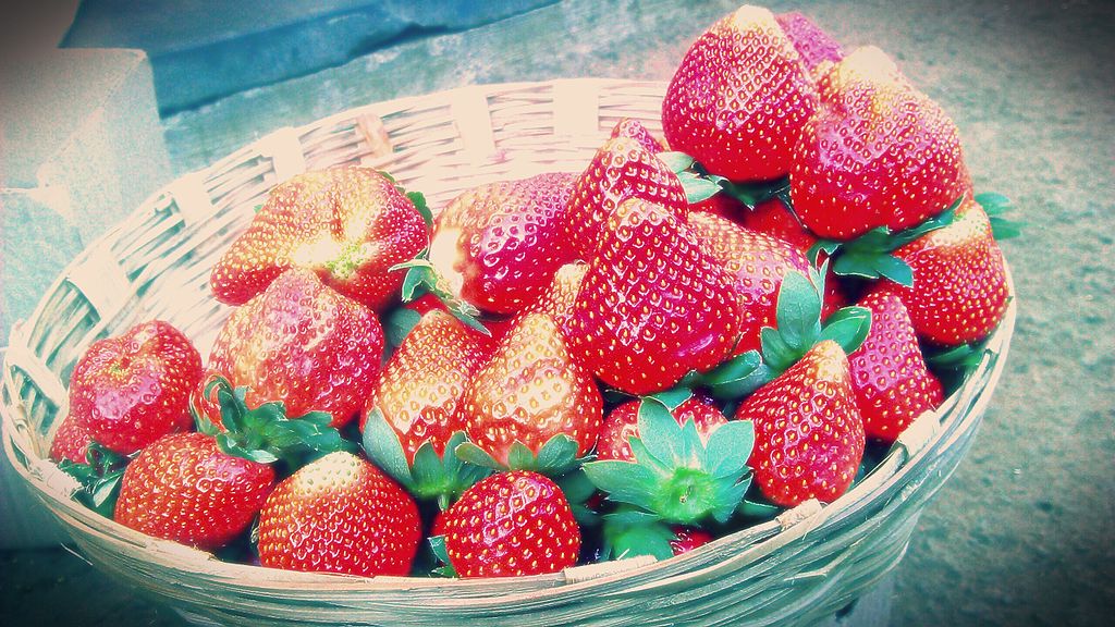 things to do in mahabaleshwar