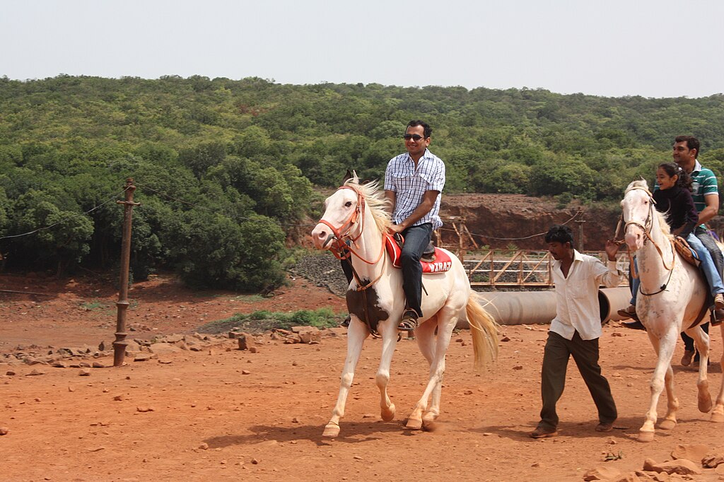 things to do in ooty