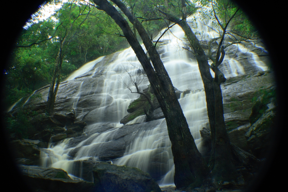 things to do in yercaud with family
