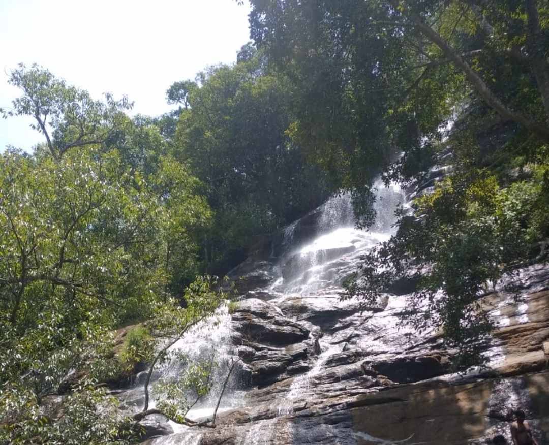 things to do in yercaud with family