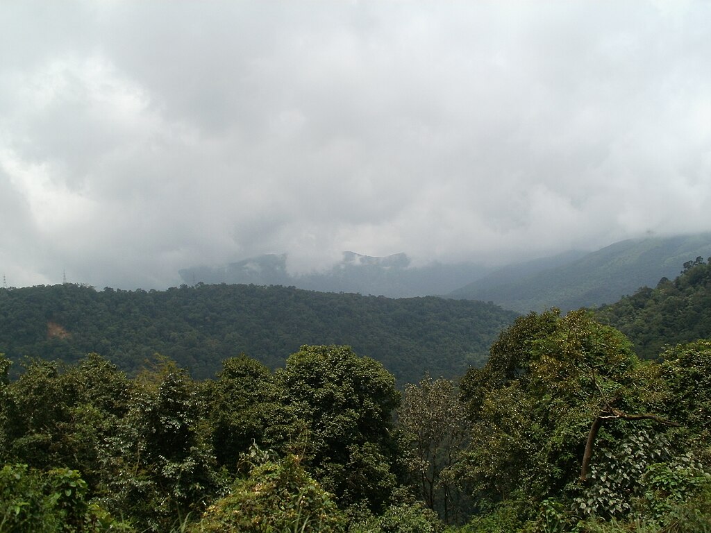 road trip from bangalore to chikmagalur