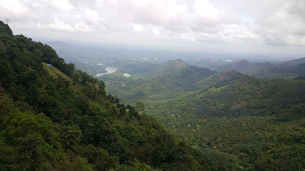 Photo by Akhil Kuruvila from Wikimedia Commons