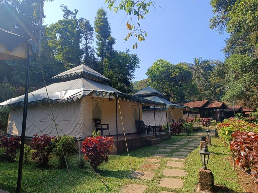 Things to do in Coorg- Coorg Wilderness Resort tent view