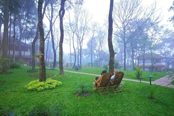 green stay garden to lounge surrounded by natural beauty
