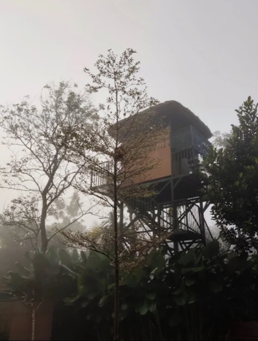 2-day trip to wayanad from bangalore- outpost view