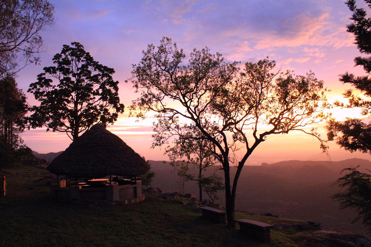 Stay Tents In Yercaud: Hidden Campsite Paradise
